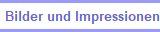 Bilder und Impressionen