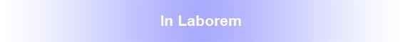 In Laborem