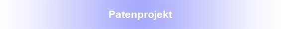 Patenprojekt