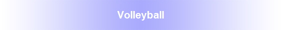 Volleyball